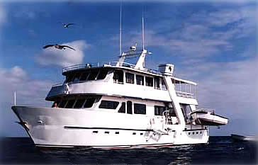 Estrella del Mar